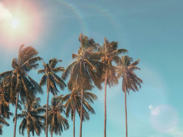 Wellbeing Tips to Put In Your Back Pocket This Summer